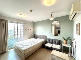 Elio Del Ray - Photo 6