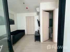 Ratchaphruek Chaloem Phrakiat Rama 9