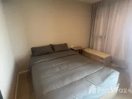 1 Bedroom Condo for rent at CIELA Charan 13 Station, Wat Tha Phra, Bangkok Yai