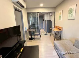 2 Bedroom Condo for rent at Quintara Phume Sukhumvit 39, Khlong Tan Nuea, Watthana