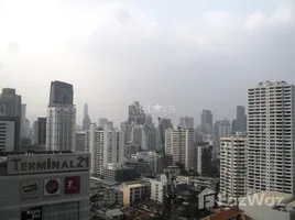 Las Colinas - Photo 3