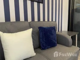 Studio Condo for rent at The Muve Bangkhae, Bang Khae Nuea, Bang Khae