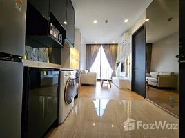 Noble Around Ari - Photo 5