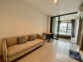 2 Bedroom Condo for rent at Life Asoke Rama 9, Makkasan, Ratchathewi