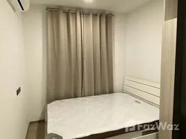 1 Bedroom Condo for rent at Chapter One All Ramintra, Anusawari, Bang Khen
