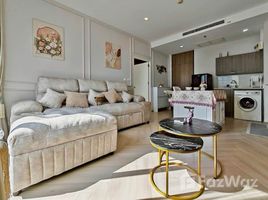 Noble Reveal - Photo 2