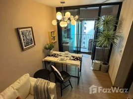 Nue Evo Ari - Photo 3