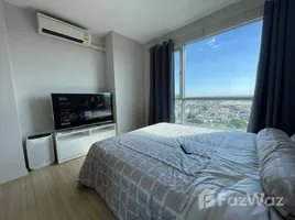 1 Bedroom Condo for rent at Fuse Sense Bangkae, Bang Khae Nuea, Bang Khae