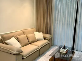 Siamese Gioia - Photo 4