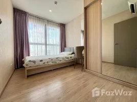 2 Bedroom Condo for rent at Ideo O2, Bang Na, Bang Na