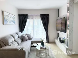 2 Bedroom Condo for rent at The Tree Sukhumvit 71-Ekamai, Suan Luang, Suan Luang