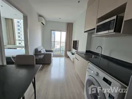 1 Bedroom Condo for rent at Noble Revolve Ratchada 2, Huai Khwang, Huai Khwang