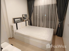 1 Bedroom Condo for rent at The Tree Sukhumvit 71-Ekamai, Suan Luang, Suan Luang