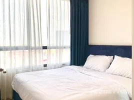 1 Bedroom Condo for rent at The Tree Charan 30, Ban Chang Lo, Bangkok Noi