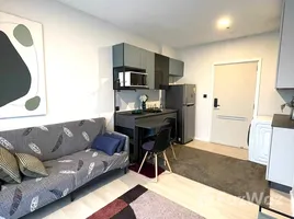 1 Bedroom Condo for rent at The Key MRT Phetkasem 48, Bang Wa, Phasi Charoen