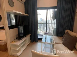 1 Bedroom Condo for rent at The Tree Sukhumvit 71-Ekamai, Suan Luang, Suan Luang