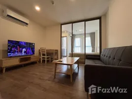 1 Bedroom Condo for rent at Aspire Pinklao - Arun Ammarin, Arun Ammarin, Bangkok Noi