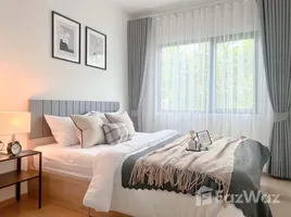 1 Bedroom Condo for rent at Chewathai Hallmark Ladprao-Chokchai 4, Saphan Song, Wang Thong Lang
