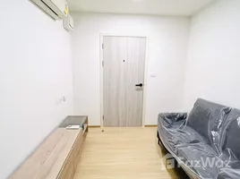 1 Bedroom Condo for rent at Chewathai Hallmark Ladprao-Chokchai 4, Saphan Song, Wang Thong Lang