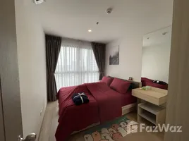 1 Bedroom Condo for rent at Ideo O2, Bang Na, Bang Na