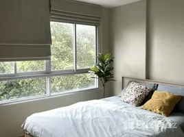 Elio Del Ray - Photo 5