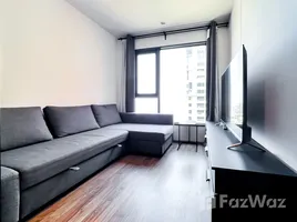 1 Bedroom Condo for rent at Life Ladprao Valley, Chomphon, Chatuchak