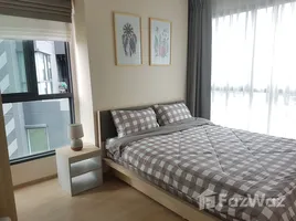 2 Bedroom Condo for rent at Ideo O2, Bang Na, Bang Na