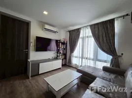 The 8 Collection - Photo 1