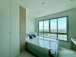 1 Bedroom Condo for rent at The Prodigy MRT Bangkhae, Bang Wa, Phasi Charoen