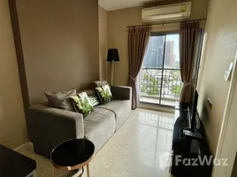 1 Bedroom Condo for rent at The Crest Sukhumvit 34, Khlong Tan, Khlong Toei