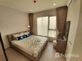 1 Bedroom Condo for rent at Life Sukhumvit 62, Bang Chak, Phra Khanong
