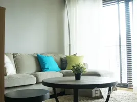 Noble Reform - Photo 4