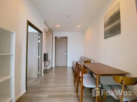1 Bedroom Condo for rent at Whizdom Essence, Bang Chak, Phra Khanong