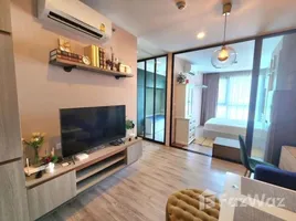 2 Bedroom Condo for rent at KnightsBridge Collage Sukhumvit 107, Bang Na, Bang Na