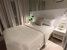 Studio Condo for rent at Regent Home Bangna, Bang Na, Bang Na