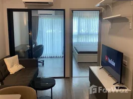 1 Bedroom Condo for rent at Ideo Ramkhamhaeng Lamsali Station, Hua Mak, Bang Kapi