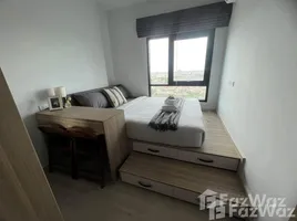 1 Bedroom Condo for rent at Altitude Unicorn Sathorn - Tha Phra, Talat Phlu, Thon Buri