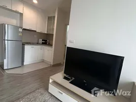 1 Bedroom Condo for rent at Centric Scene Sukhumvit 64, Bang Na, Bang Na