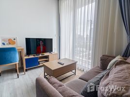 XT Ekkamai - Photo 6