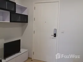 1 Bedroom Condo for rent at The Tree Sukhumvit 71-Ekamai, Suan Luang, Suan Luang