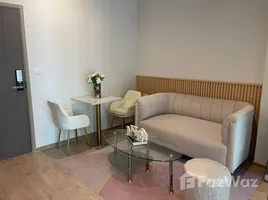 1 Bedroom Condo for rent at Ideo Rama 9 - Asoke, Huai Khwang, Huai Khwang