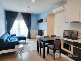 2 Bedroom Condo for rent at The Tree Pattanakarn - Ekkamai, Suan Luang, Suan Luang