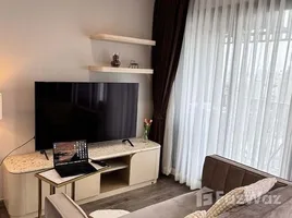 1 Bedroom Condo for rent at Life Ladprao Valley, Chomphon, Chatuchak