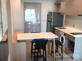 2 Bedroom Condo for rent at Life Sukhumvit 62, Bang Chak, Phra Khanong