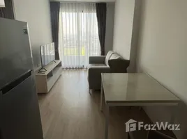 1 Bedroom Condo for rent at Ideo O2, Bang Na, Bang Na