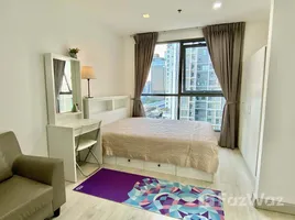 Studio Condo for rent at Ideo Mobi Sukhumvit 81, Bang Chak, Phra Khanong