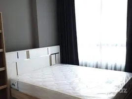 1 Bedroom Condo for rent at Artemis Sukhumvit 77, Suan Luang, Suan Luang