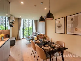 Noble Recole - Photo 2