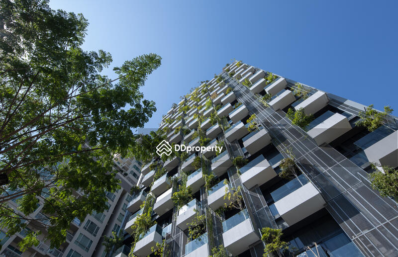 Siamese Exclusive Sukhumvit 31